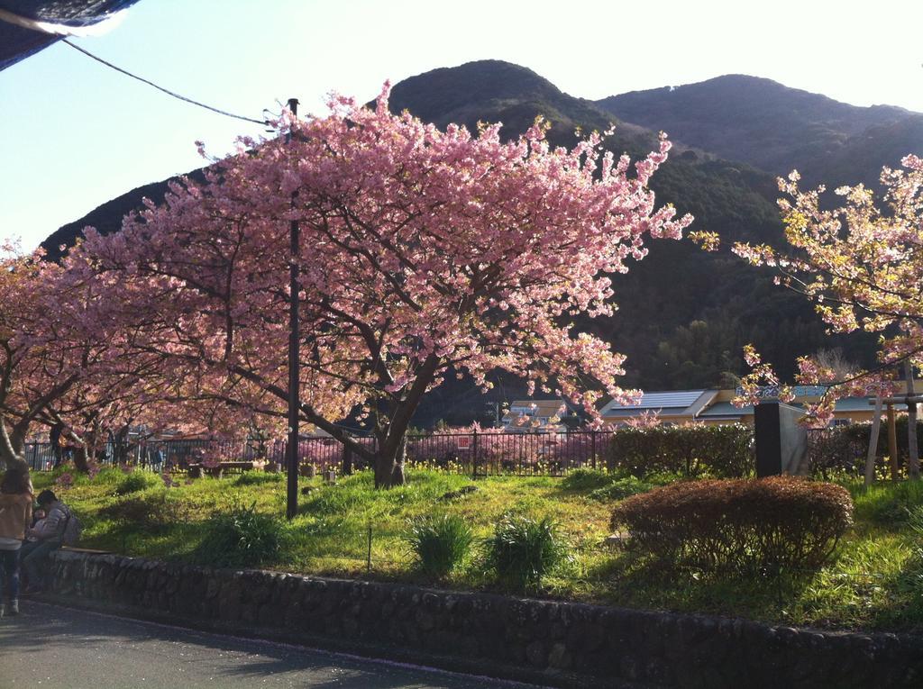 Hareya Shimoda (Shizuoka) Exterior photo
