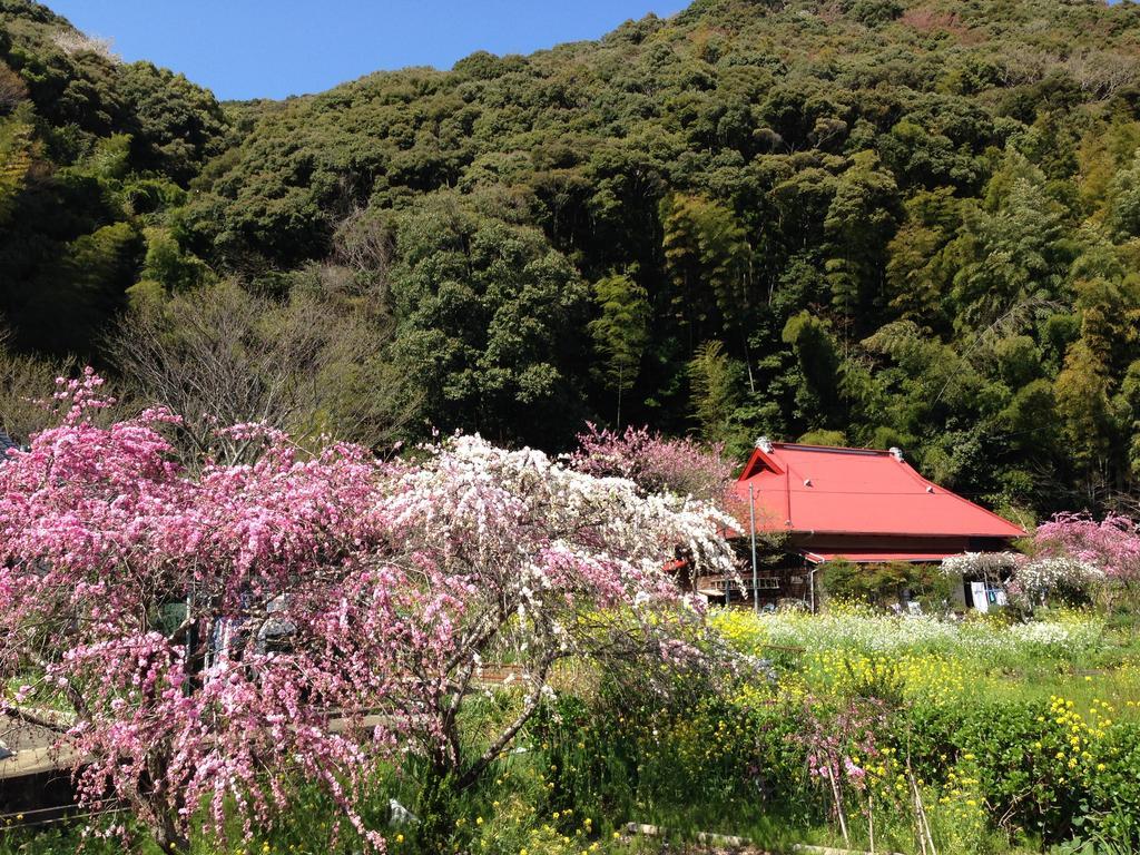 Hareya Shimoda (Shizuoka) Exterior photo